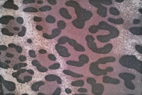 Close-up view of a leopard pattern textile featuring black spots Stock Photos