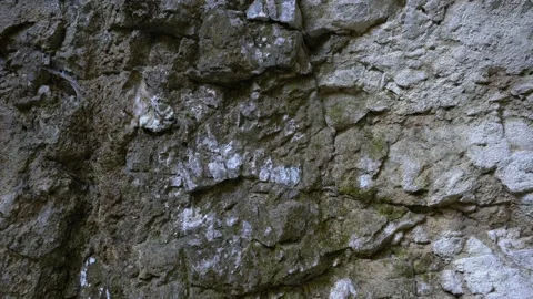 Close up view of limestone rock formations Stock Footage 167589617