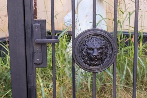 Close view of lion head relief and floral rosette on dark iron fence with s.. Stock Photos