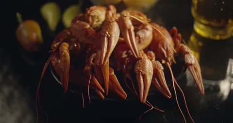 Close up view of lobsters with foamy bear on black background in slow motion Stock Footage 142736026