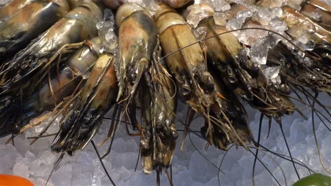 Close-up view of lobsters lying on ice on a counter in 4K. Video stock 118770652