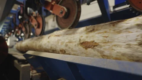 Close-up view of a log being processed through an industrial saw in a sawmill Stock Footage 304112333