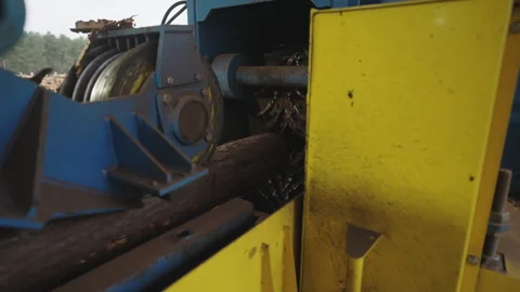 Close-up view of log processing machinery at sawmill in wood factory. Stock Footage 303899174