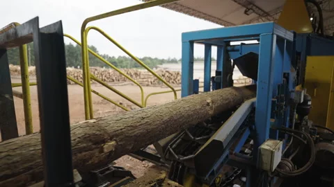 Close-up view of the logs being processed by industrial saw at sawmill in wood Stock Footage 303895696