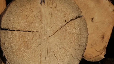 Close-up view of the logs, lying in piles. 2013 Stock Footage 49109756