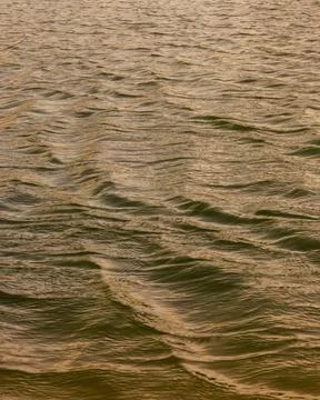 Close-up view of the low waves on a  lake in the light of the afternoon, in a Stock Photos