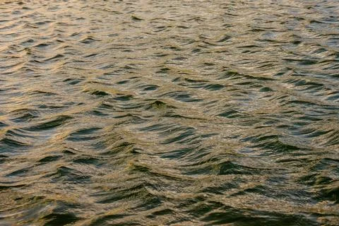 Close-up view of the low waves on a  lake in the light of the afternoon, in a Stock Photos