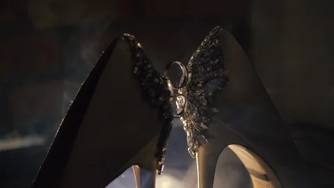 Close up view of luxurious wedding accessories. Stock Footage 103023365