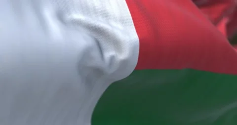 Close-up view of Madagascar National flag waving Stock-Footage 220719509