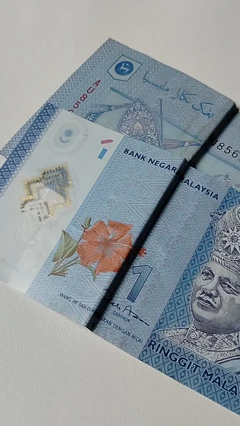 Close-up view of a Malaysian one Ringgit banknote featuring detailed currency te Stock Footage 335643817