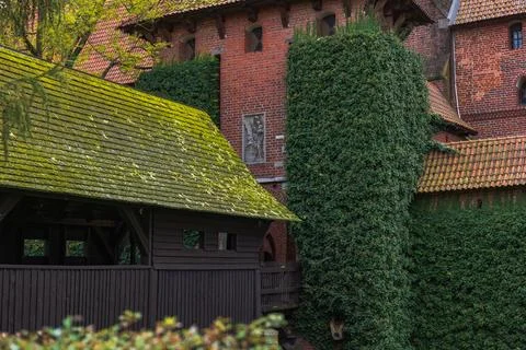 Close view of Malbork Castle Gothic brick walls and ivy towers Stock Photos