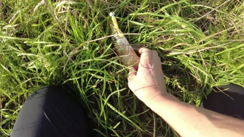 Close up view of man frees caught pike from jig bait  on green grass background. Stock Footage 165402844