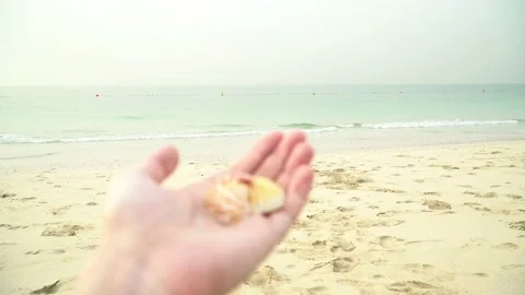 Close-up view of man holding multicolored sea shells in hand Stock Footage 114932264