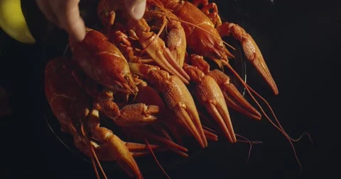 Close up view of man taking lobsters with bear and chips on background Stock Footage 142736286