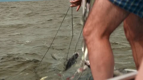 Close up view of man's legs standing on nose of boat. Man pulls out net with Stock Footage 144321454