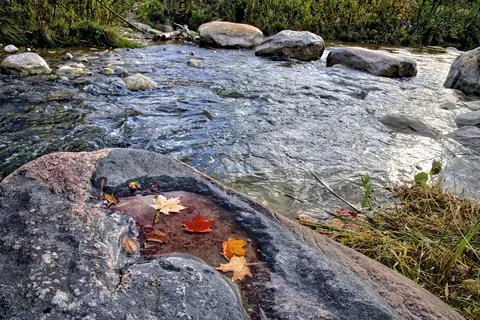 Close-up view of maple leaves on the river rock Stock Photos
