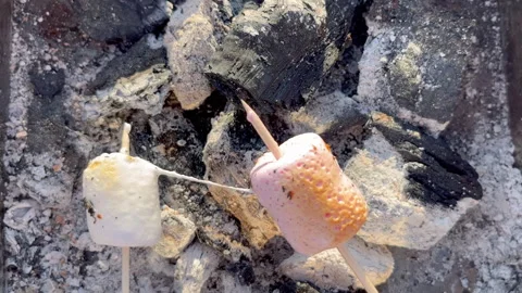 Close up view of marshmallows roasting on coals. Pink and white marshmallows are Stock Footage 245809282