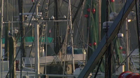 Close view of masts and rigging of boats in harbor Stock Footage 59184980