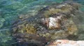 Close up view of Mediterranean sea water splashing around rocks, Cyprus island HD Footage