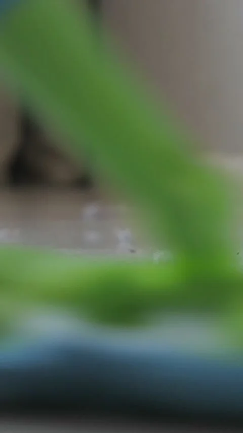 Close up view of a microfiber flat mop cleaning a dusty floor, removing dirt and Stock-Footage 341677211