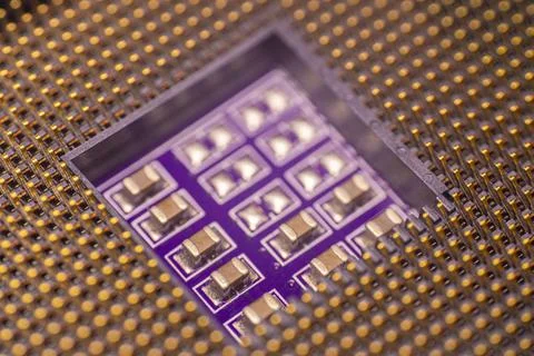 Close-up view of a microprocessor with gold pins and a purple circuit board.. Stock Photos