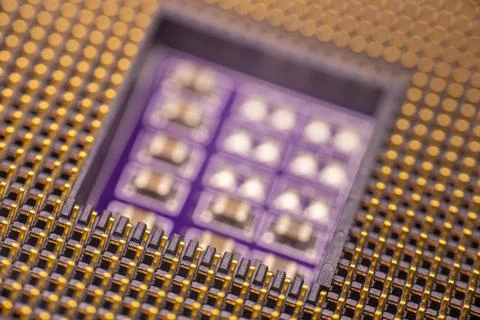 Close-up view of a microprocessor with gold pins and a purple substrate, sh.. Stock Photos