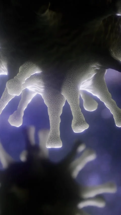 Close view of microscopic life forms in dark background with light details Stock Footage 334885152