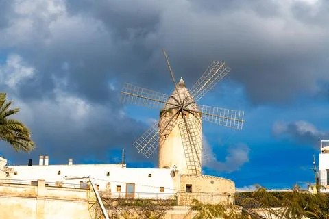 Close view of mill sails with palm fronds and sky Фото