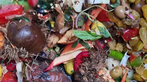 Close-up view of mixed organic kitchen waste including vegetable peels fruit Video stock 336482096