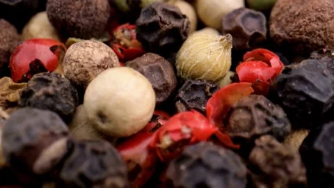 Close-up View of Mixed Peppercorns: Black, White, Red, and Green Stock Footage 308636127