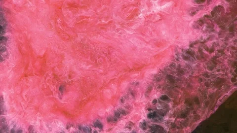 Close-up view of mixing different colored alcohol inks on a surface Stock Footage 342421278