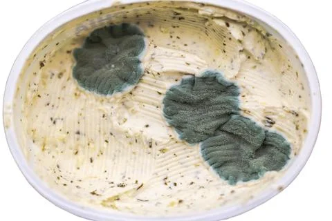 Close up view of mold growing on spoiled processed cheese spread isolated Stock Photos
