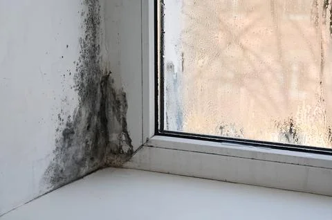 Close-up view of mold on window frame with noticeable discoloration and dam.. Stock Photos