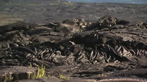 Close Up View of Molten Lava 스톡 동영상 19284773