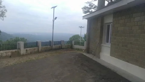 Close up view of monkeys playing in wall. Video stock 272200043