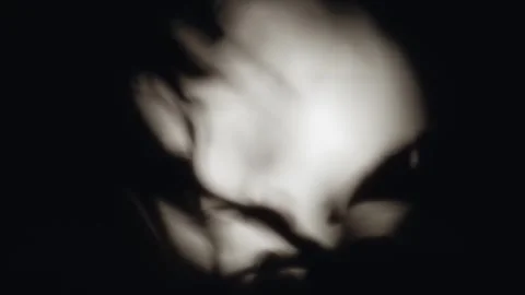 A close-up view of the moon, partially obscured by delicate silhouettes of Video stock 276626893