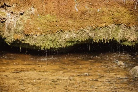 Close-up view of moss-covered rock ledge above clear water, with droplets f.. Fotos de archivo