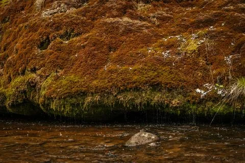 Close-up view of a moss-covered rock formation beside a flowing river, show.. Fotos de archivo