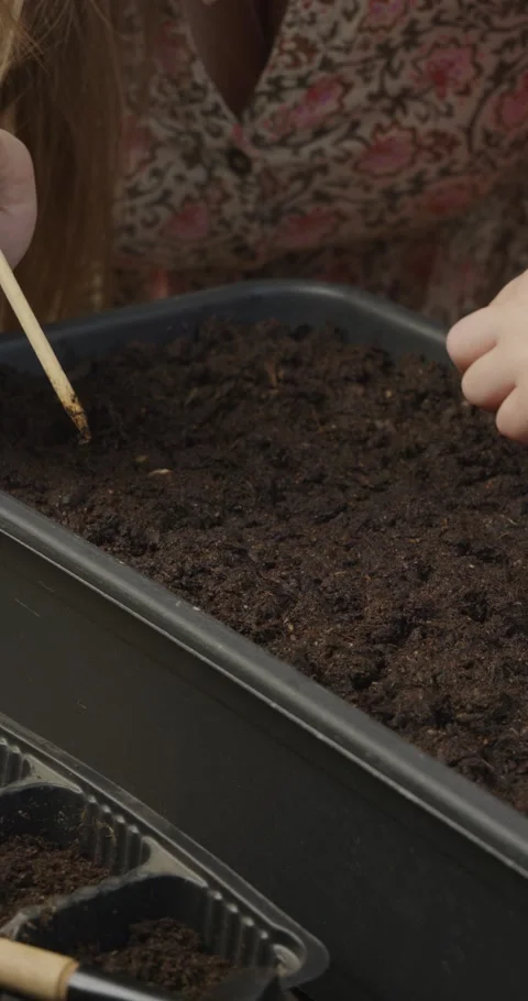 Close-up view of a mothers hand assisting her child in planting vegetable seeds Stock Footage 330256892