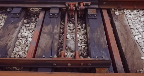 Close-up view of a motorized switch on railway track switches Video stock 264774995