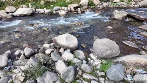 Close-Up View A Mountain River Flowing Between Rocky Shores and Stones, with Stock Footage 288464994