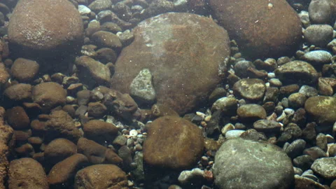 Close up view mountain stream with colourful stones. Stock Footage 149608593