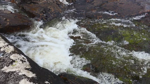 A close up view of a mountain stream. Stock Footage 112682843