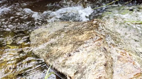 Close-up view mountain stream with stone and sky reflections Stock Footage 136191789
