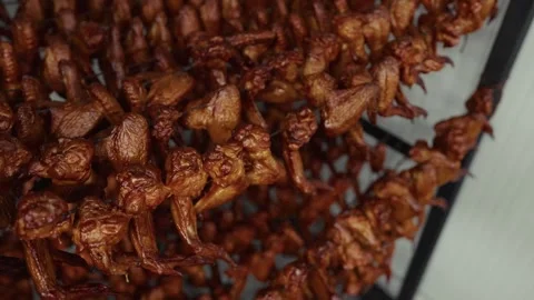 Close-up view of multiple racks filled with golden-brown grilled chicken wings Vídeo Stock 332724195