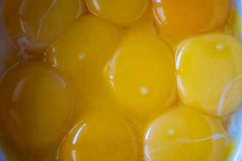 Close up view of multiple raw bright yellow egg yolks 스톡 사진