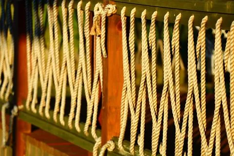 Close-up view of multiple ropes hanging from a fence, suitable for use in Stock Photos