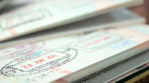 Close up view of multiple visas in old passport document, concept of travel.. Stock Footage 332745368