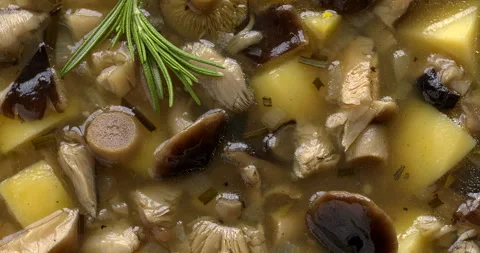 Close-up view of mushroom soup made from wild mushrooms. Stock Footage 293215209