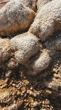 Close view of natural salt formations showing textures and colors under bri.. Stock Photos